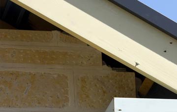 soffit repair Penshurst